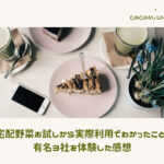 宅配野菜お試しから実際利用でわかったこと!有名3社を体験した感想