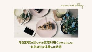 宅配野菜お試しから実際利用でわかったこと！有名３社を体験した感想