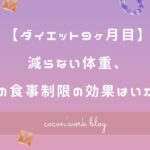 【ダイエット9ヶ月目】減らない体重、2食の食事制限の効果はいかに!?