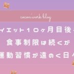 ダイエット10ヶ月目後半!食事制限は続くが運動習慣が遠のく日々